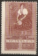 Hungary - 1910  KI'ALLIT'AS JUBILEE BUDAPEST Publicity Poster Stamp - Nuovi