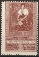 Hungary - 1910  KI'ALLIT'AS JUBILEE BUDAPEST Publicity Poster Stamp - Neufs