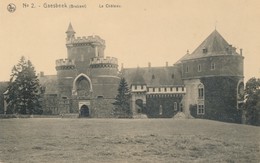 CPA - Belgique - Lennik - Gaesbeek - Le Château - Lennik