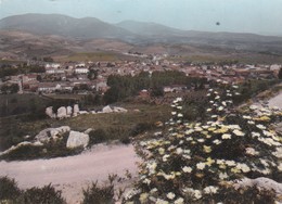 CPSM 10X15 . Vue Générale .SAINT CHINIAN  (34) - Autres & Non Classés