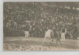 Carte Photo Congo Belge Sport Lutte Gréco Romaine Animée - Te Identificeren