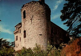 47 - Aux Environs D'AGEN - BON-ENCONTRE - Le Château De Castelnoubel - Bon Encontre