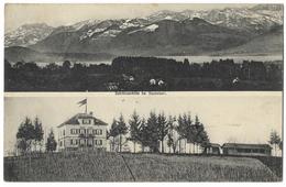 RAPPERSWIL: 2-Bild-AK Schrännenhöhe Mit Rebberg Und Restaurant 1907 - Berg