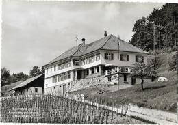 BERNECK: Restaurant Maienhalde, Rebberg ~1960 - Berg