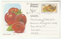 1985c Port Elizabeth SOUTH AFRICA  Postal STATIONERY CARD Illus PLUMB  Fruit Cover - Storia Postale