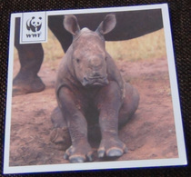 Rhinocero - Rhinocéro - Neushoorn - Nashorn - Rinoceronte - WWF Panda Logo - Rhinocéros