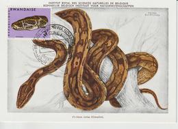 Rwanda Carte Maximum Serpents 1967 Python 195 - Altri & Non Classificati