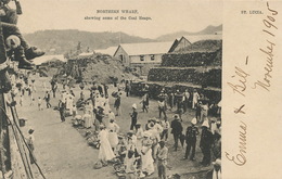 St Lucia .  Northern Wharf Showing Some Of The Coal Heaps Undivided Back - Saint Lucia