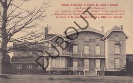 Delcampe - Reclamekaart VIELSALM Château Vicomte De Jonghe à Vielsalm - J. Denis - Andernach Industriel  (O400) - Vielsalm