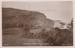 AK Luccombe Common A Shanklin I. Of W. Old Isle Of Wight Sandown Ventnor South East Hampshire United Kingdom England UK - Ventnor