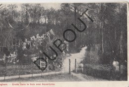 Postkaart/Carte Postale TIEGEM Grotte Dans Le Bois Avec Aquariums (O365) - Anzegem