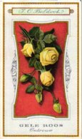 60 Chromo Lithos Zie Fotos, 4711 , Gedrukt  Cirka 1916 Verzameling, NEderland - Parfum Boldoot - 6,2 Cm X 11 Cm - Profumeria Antica (fino Al 1960)