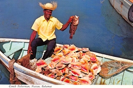 Bahamas - NASSAU - Conch Fisherman With His Catch - Pêcheur - Poisson - Coquillages - Timbre - Bahama's