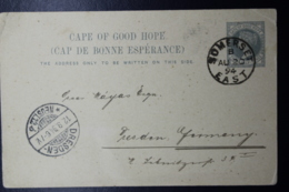 Cape Of Good Hope Postcard Nr 8 Somerset East -> Dresden Germany 1894 - Cape Of Good Hope (1853-1904)