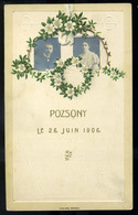MENÜKÁRTYA  1906. Pozsony, Palugyay - Sin Clasificación