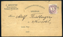 BUDAPEST 1893. Hofstatter Borkereskedés, Céges Levlap Besztercebányára Küldve - Used Stamps