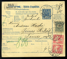 BUDAPEST 1900. Krajcár-Turul Vegyes Bérmentesítés, Csomagszállító 20Kr + 2*10f -rel Temesrékásra Küldve - Used Stamps