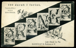 BUDAPEST 1910. Cca. Löbl Dávid és Fia Képeslap Kereskedés, Ritka Reklám Képeslap  /  Ca 1910 Postcard Store Rare Adv. Vi - Hungary