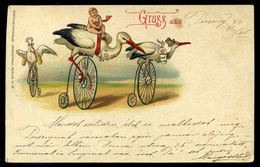 1899. Kerékpár, Gólya  Litho Képeslap Pozsony 1899.  /  Bicycle Litho Vintage Pic. P.card - Ungarn