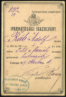 ESZTERGOM 1877. Iparhatósági Igazolvány , Ráb Adolf Hentes Részére - Unclassified