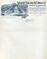 SZEGED 1910. Gőztégla és Cserépgyár Fejléces,céges Számla - Non Classificati
