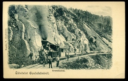 GYULAFALVA 1905. Cca. Rozsahalom, Vasút, Ritka Képeslap  /  Train  Rare Vintage Pic. P.card - Ungarn