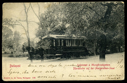 MARGITSZIGET 1904. Lóvonat, Régi Képeslap  /  MARGARET ISLE Horse Train Vintage Pic. P.card - Hongrie