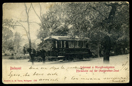 MARGITSZIGET 1904. Lóvonat, Régi Képeslap  /  MARGARET ISLE Horse Train Vintage Pic. P.card - Ungarn