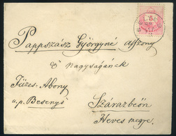 SELYEB 1889. Krajcáros Levél, Ritka Bélyegzéssel Szárazbőre Küldve - Used Stamps