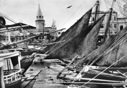 Brésil - BELEM - Le Port De Pêche - Voiliers - Belém