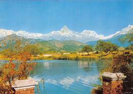 Népal - Mont Machhapuchare - Courtesy : K.P. Pradhan - Timbres - Népal