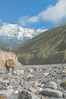 Népal - Kali Gandaki Valley - Photo : Mukunda B. Shrestha - Timbres - Népal