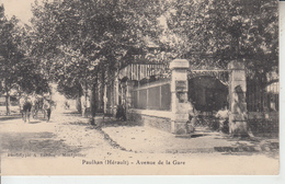 PAULHAN ( Herault ) - Avenue De La Gare  PRIX FIXE - Paulhan