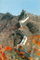 Chine - Autumn At The Great Wall - La Grande Muraille - Chine