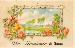 48. CPA. CHANAC.  Un Souvenir De Chanac, Fleurs, Cadre Paysage. - Chanac