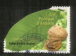 Feuille D'arbre: Le NOYER,  Un Timbre Oblitéré, 1 ère Qualité, 2018 . Adhésif, Haute Faciale. AND.ESP - Used Stamps