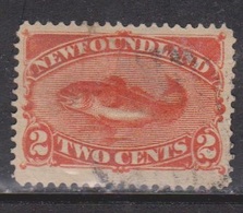 NEWFOUNDLAND Scott # 48 Used - Codfish - 1865-1902