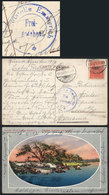 ARGENTINA: Postcard (horses Crossing A Pond) Franked With 5c. Plowman, Sent From Buenos Aires To Germany On 10/AU/1918,  - Otros & Sin Clasificación