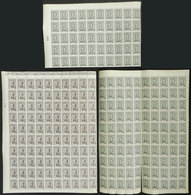 ARGENTINA: Binder With Good Number Of Stamps In Sheets Or Large Blocks, Many Of OFFICIAL STAMPS, In General MNH And Of V - Verzamelingen & Reeksen