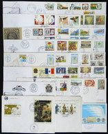 BRAZIL: Group Of FDC Covers Of Issues Of The Year 1981, Almost Complete, Very Thematic, Very Fine General Quality (a Cou - Andere & Zonder Classificatie