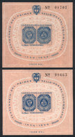 COLOMBIA: Souvenir Sheet Yv.17, 1960 Stamp Centenary With DOUBLE IMPRESSION Of Blue Color Variety, VF. Along A Normal St - Colombie