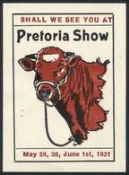 UNITED STATES: Cinderella Of The Pretoria Cattle Show, 1931, VF Quality! - Autres & Non Classés