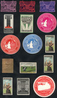 NETHERLANDS: 14 Old Cinderellas, Very Thematic And Interesting, Fine General Quality, Low Start! - Otros & Sin Clasificación