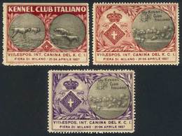 ITALY: Set Of 3 Cinderellas Of The DOG Exposition In The Milano Fair Of 1927, VF, Rare! - Non Classés
