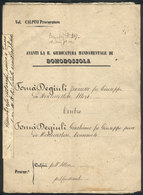 ITALY: Document Of Several Pages Of The Year 1852, Related To A Resident Of Montecrestese, Excellent Quality, Very Inter - Unclassified