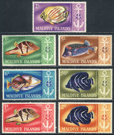MALDIVES: Sc.214/220, 1967 Fish, Compl. Set Of 7 Unmounted Values, Excellent Quality, Catalog Value US$28.95 - Maldiven (1965-...)
