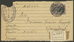 PERU: PROVISIONAL Guide For A Parcel Sent From Trujillo To New York On 23/JA/1924, Franked With 50c. (Sc.217), VF And Ra - Peru
