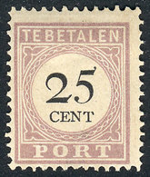 SURINAME: Yvert 13B (type II), 25c. Of 1891/5, VF Quality, Top Value Of The Set, Catalog Value Euros 110. - Surinam