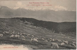 FONT ROMEU     66  PYRENEES  ORIENTALES CPA  LES PATURAGES - Sonstige & Ohne Zuordnung