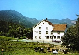 EPTINGEN BL Bergwirtschaft Kallhof Mit Bölchenfluh Auto - Eptingen